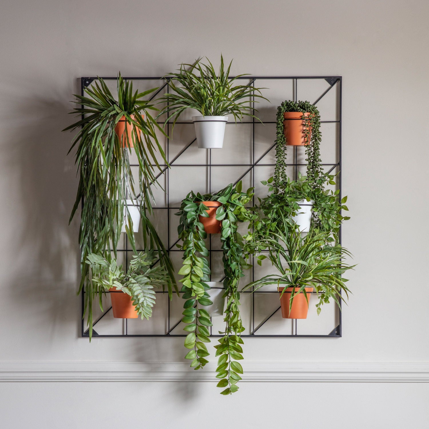 Pots & Planters